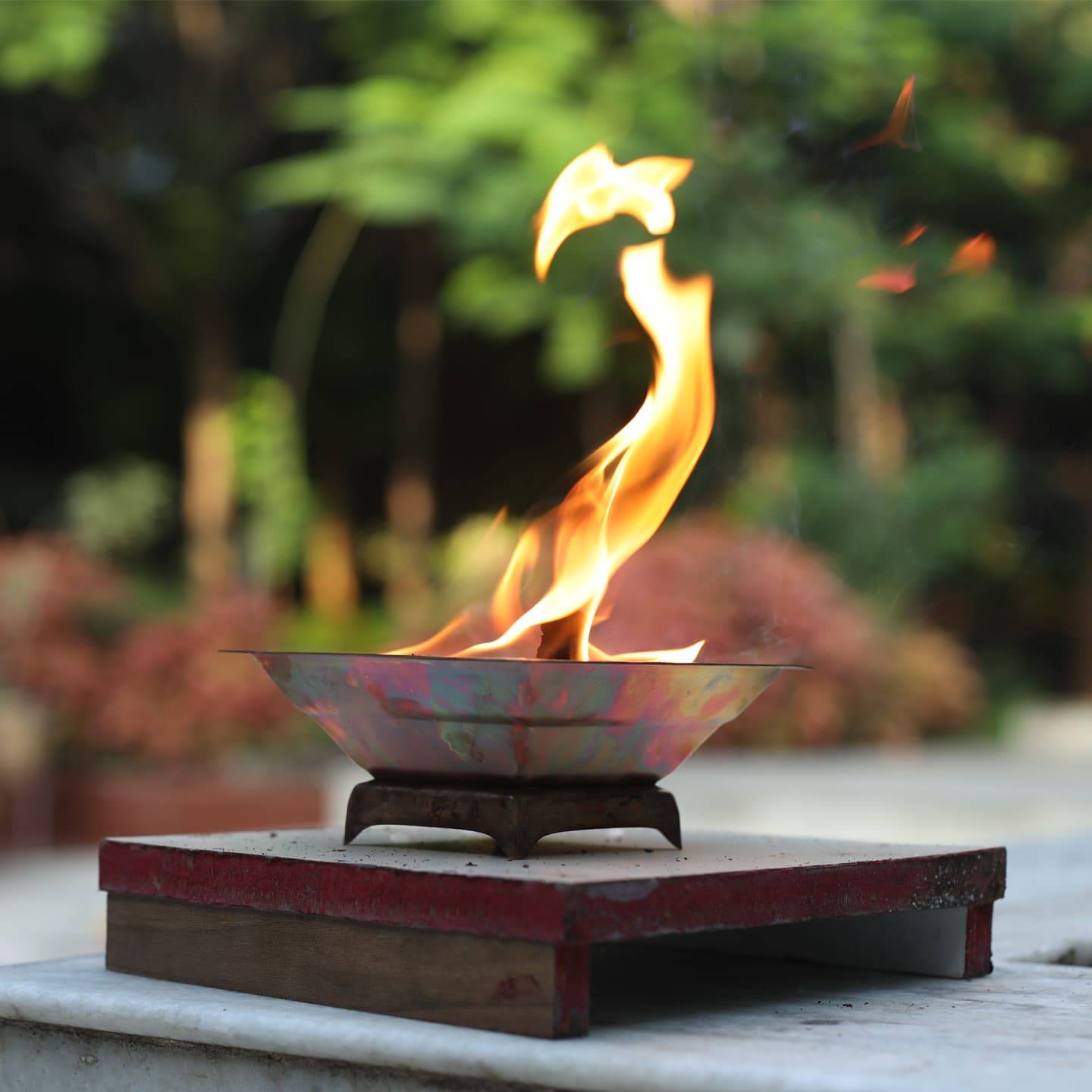 The Sacred Fire Lineage